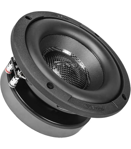 Amazon.com: Dayton Audio DC160-4 6-1/2